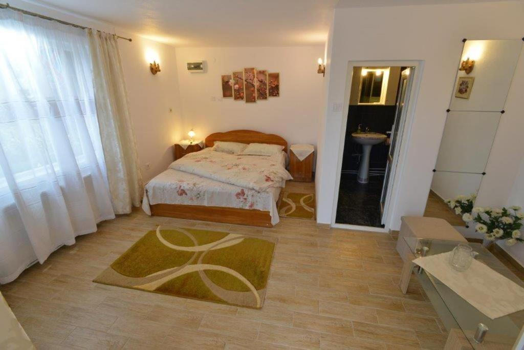 Casa Georgeta Guest House Бран Екстериор снимка