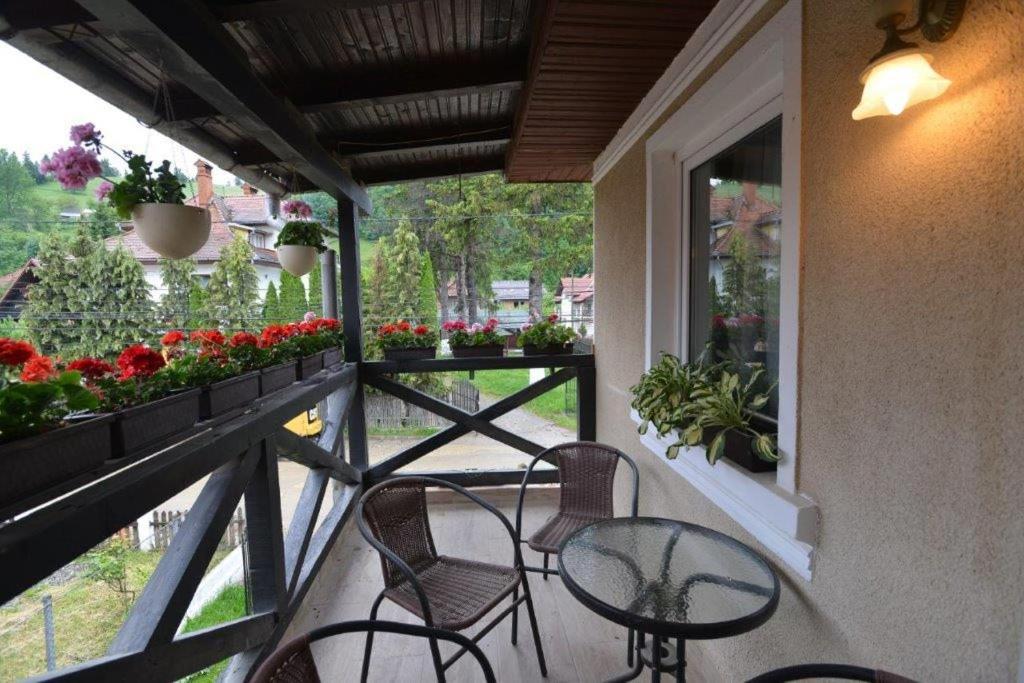Casa Georgeta Guest House Бран Екстериор снимка