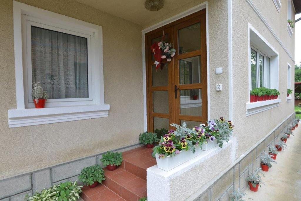 Casa Georgeta Guest House Бран Екстериор снимка