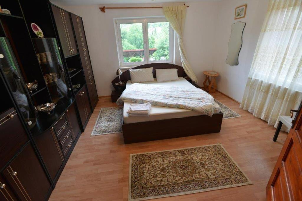 Casa Georgeta Guest House Бран Екстериор снимка