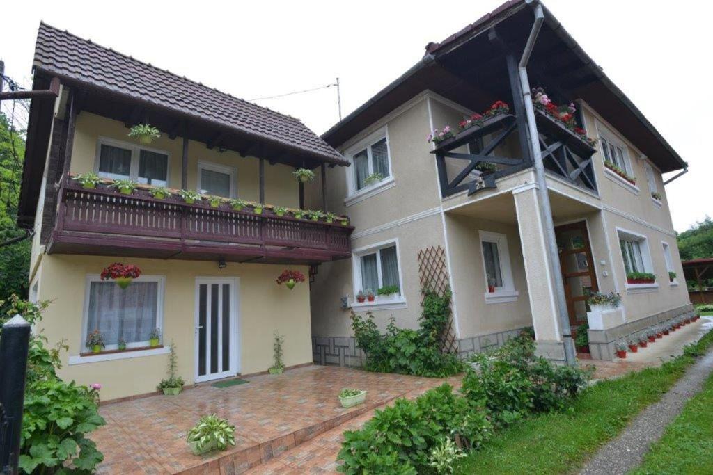Casa Georgeta Guest House Бран Екстериор снимка