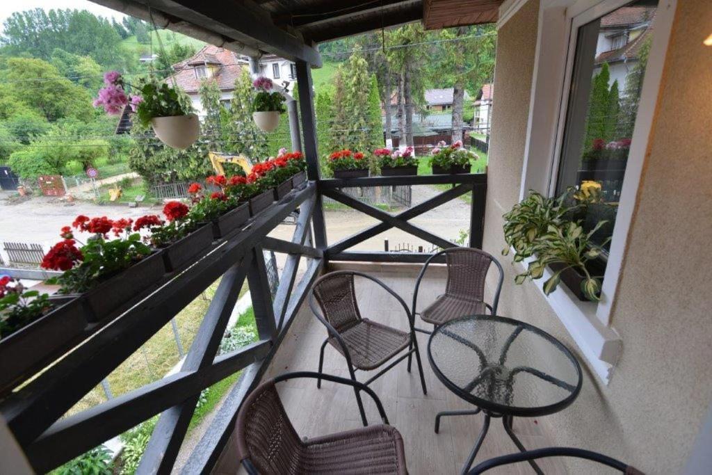 Casa Georgeta Guest House Бран Екстериор снимка