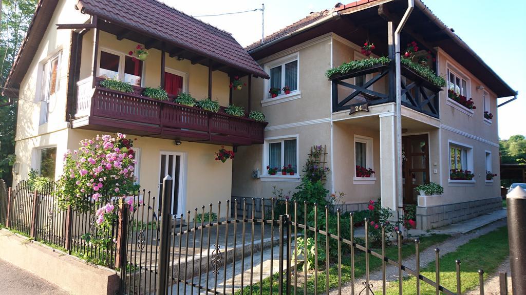 Casa Georgeta Guest House Бран Екстериор снимка